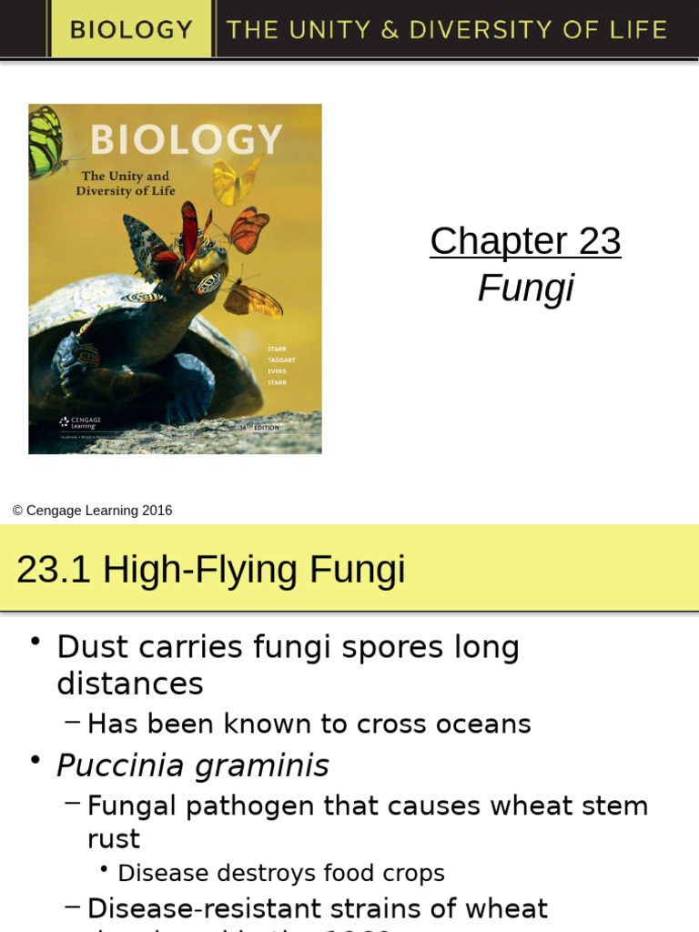 Powerpoint Biology Ch23.Pptx Fungi | PDF | Fungus | Sexual Reproduction