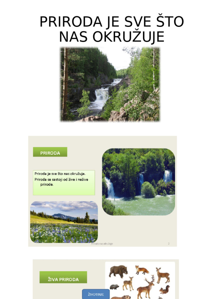 Priroda Je Sve Sto Nas Okruzuje | PDF