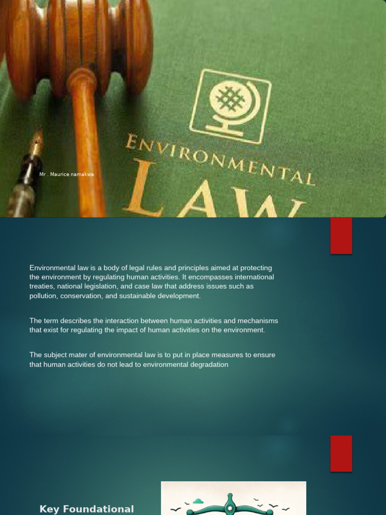 Overview of Environmental Law Principles | PDF | Environmental Law ...