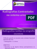 Aula 5 - Radiografias Contrastadas No Sistema Urinário