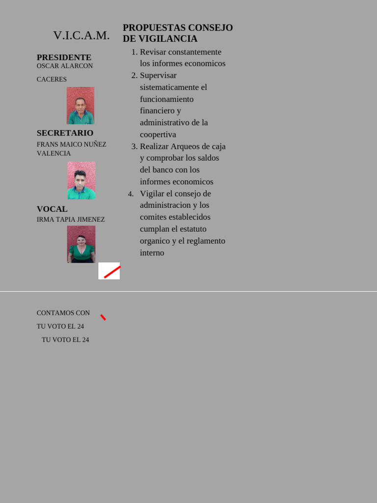 V.I.C.A.M.: Propuestas Consejo de Vigilancia | PDF