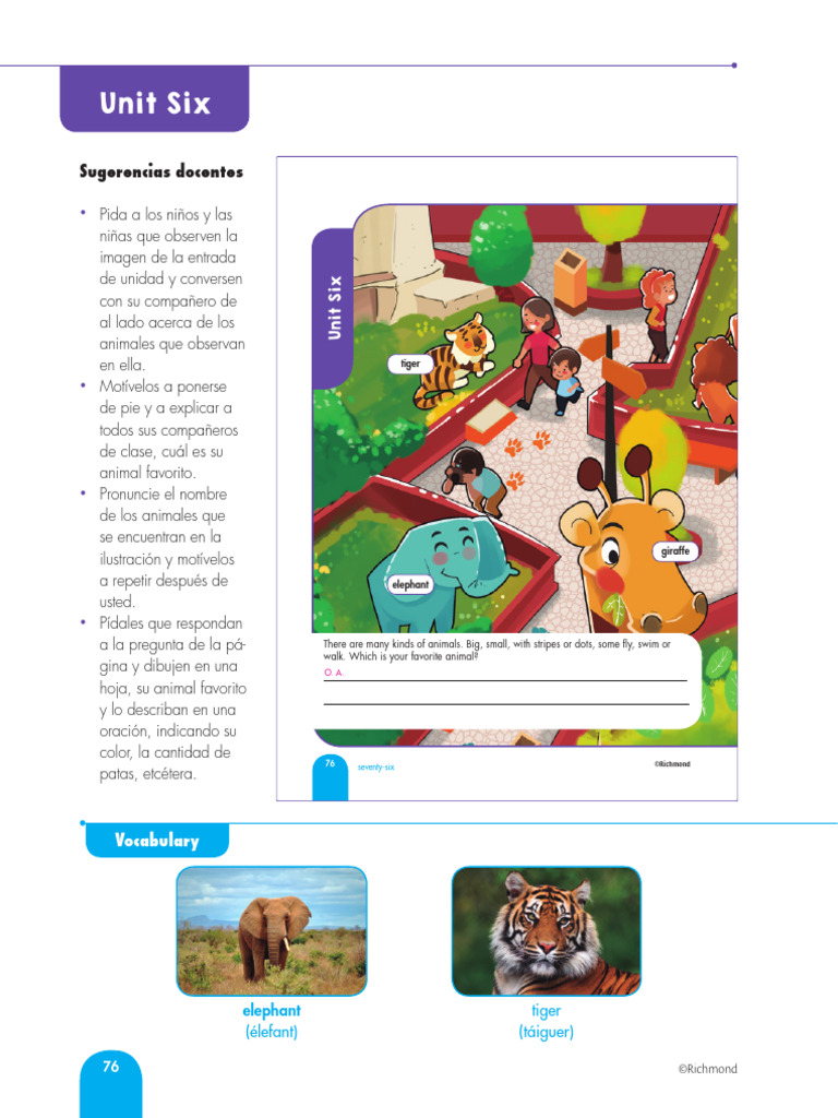 U6 Teacher Guide | PDF