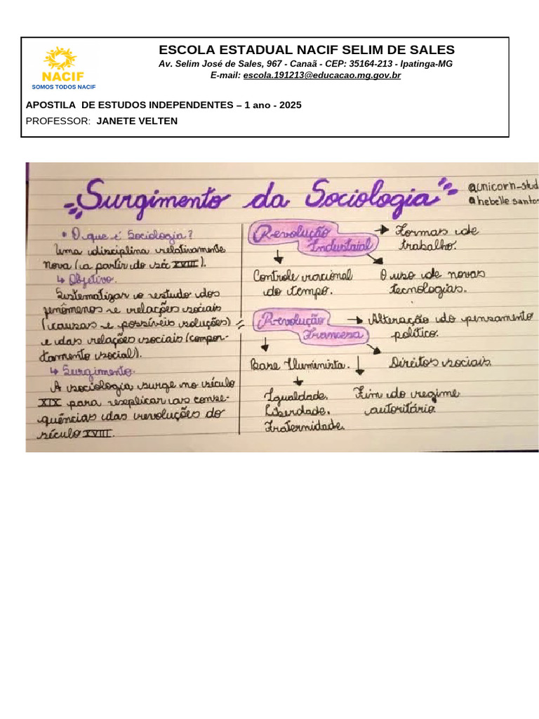 Senso Comum e Socialização na Educação | PDF | Sociologia | Émile Durkheim