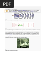 Download Doppler Effect by Lukkitt SN86570180 doc pdf