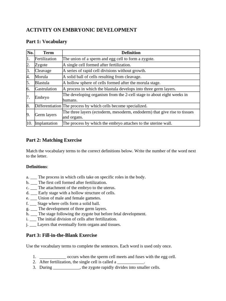 Activity On Embryonic Development | PDF | Embryo | Fertilisation