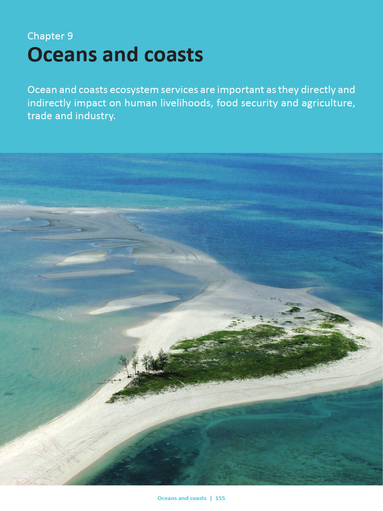 Threats to South Africa's Marine Resources | PDF | Coast | Aquaculture