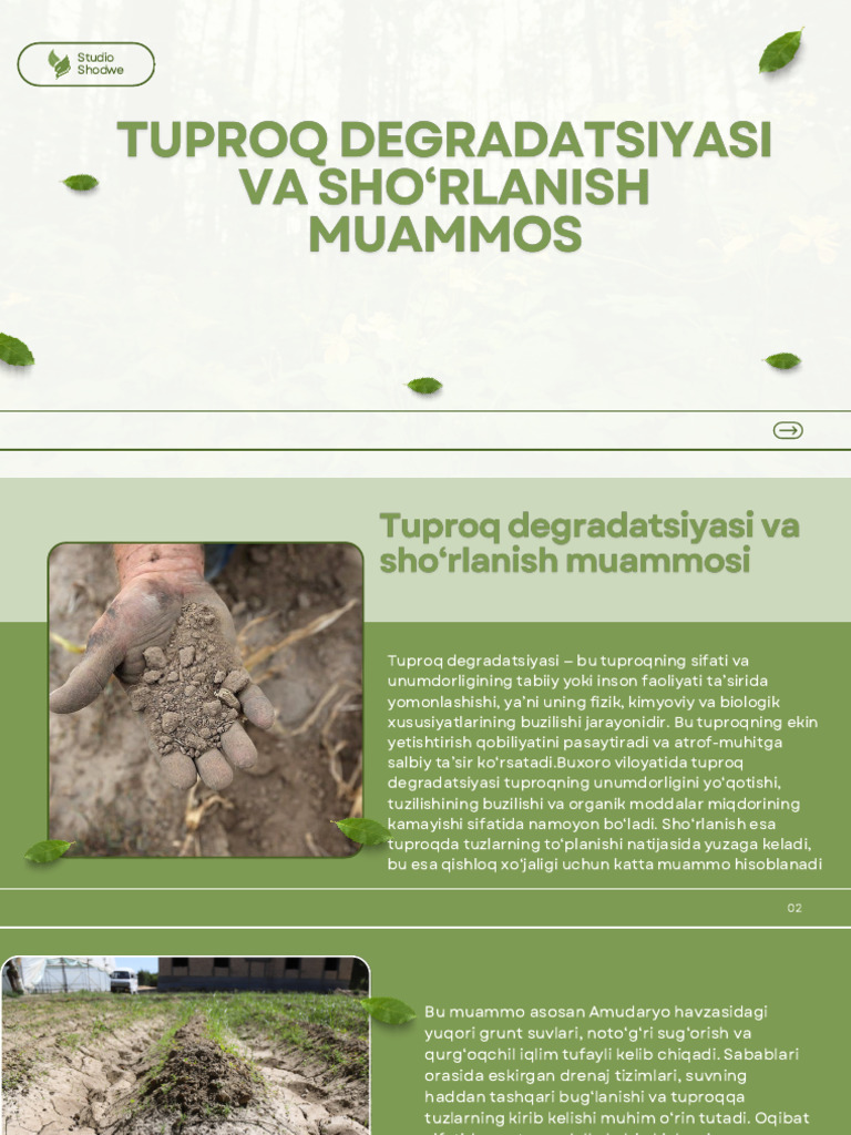 Tuproq Degradatsiyasi Va Sho‘Rlanish Muammos | PDF