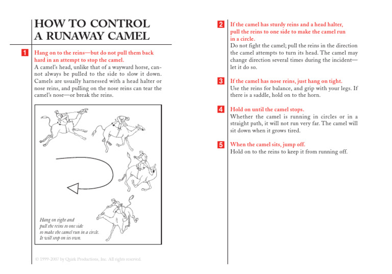 Control a Runaway Camel Safely | PDF