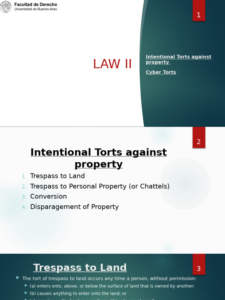 02 Int. Torts Property | PDF | Trespass | Conversion (Law)