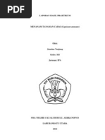 Download BUDIDAYA TANAMAN CABAI by 030589 SN86575319 doc pdf