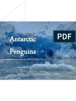 Penguins