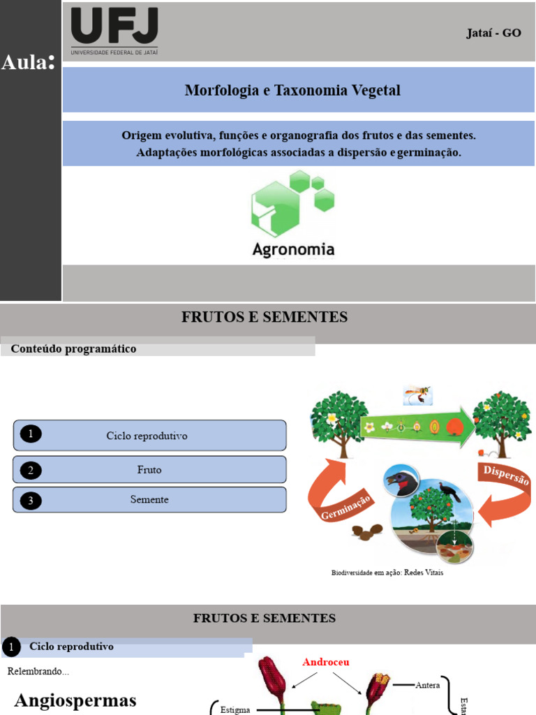 Aula 08 Sementes e Frutos | PDF | Técnicas de horticultura | Reprodução