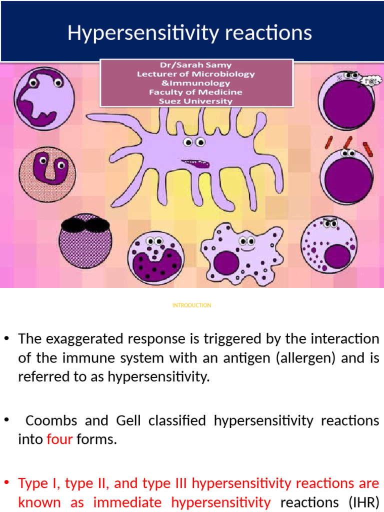 Understanding Hypersensitivity Reactions | PDF | Allergy | Immune System