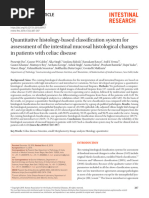 Corazza Villanacci Celiac Classification | PDF | Coeliac Disease ...