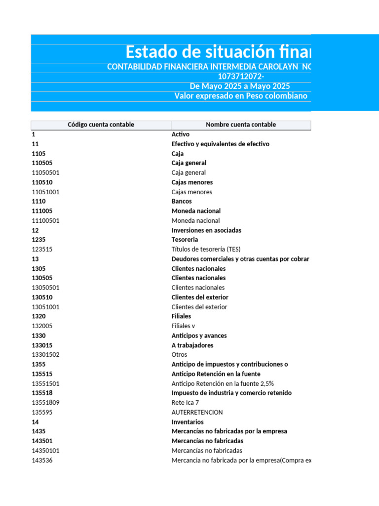 Estado de Situación Financiera | PDF | Contabilidad | Compartir (Finanzas)