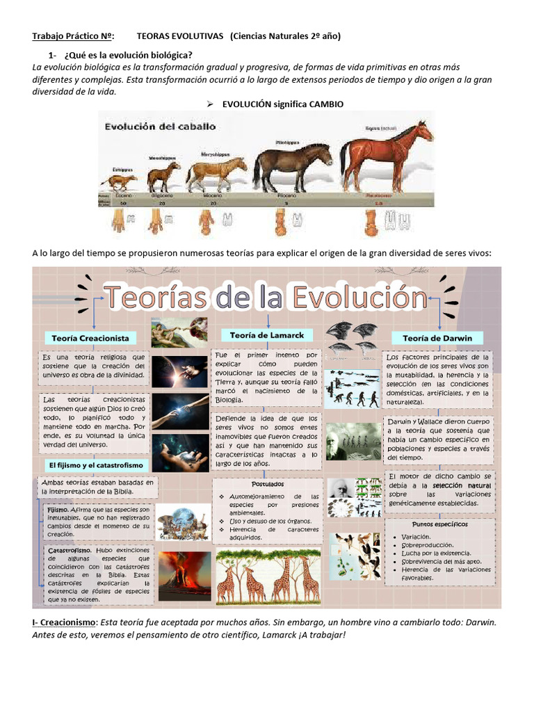 Teorías de la Evolución Biológica | PDF | Evolución | Seleccion natural