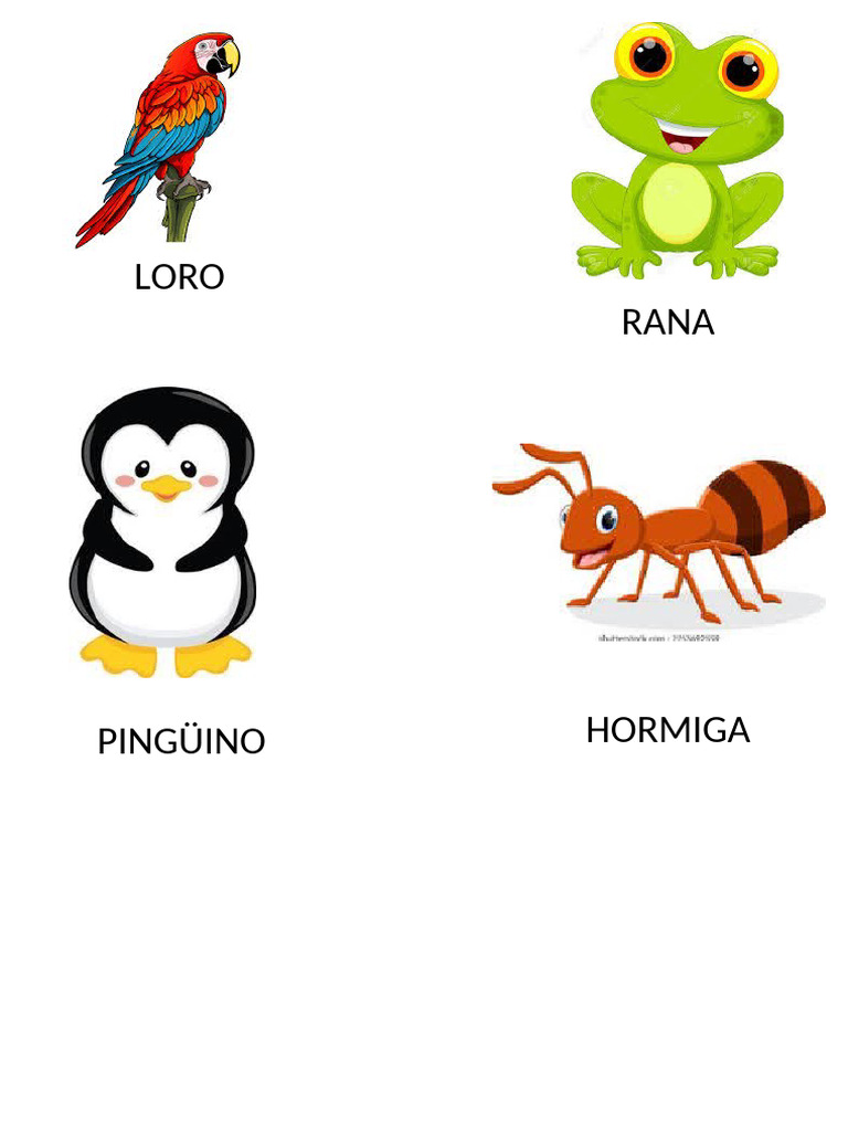 Rana Loro | PDF