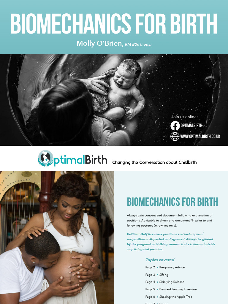 Optimal Positions for Childbirth | PDF | Childbirth | Pelvis