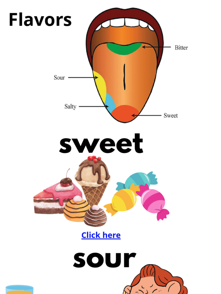 Flavours Vocabulary Guide | PDF