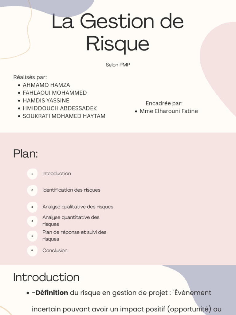 Analyse qualitative des risques en projet | PDF | Risque | Gestion des ...