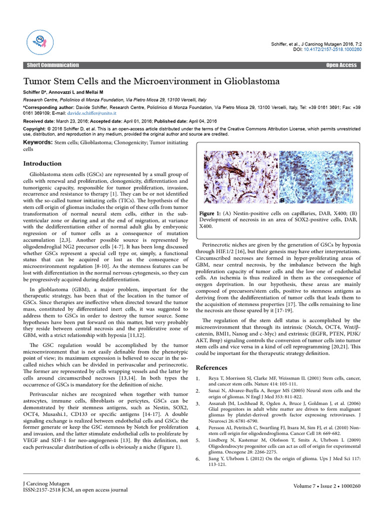 Tumor Stem Cells and The Microenvironment in Glioblastoma 2157 2518 ...
