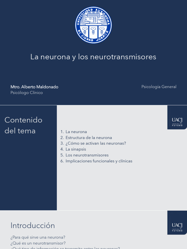 Estructura y Función de Neuronas y Neurotransmisores | PDF | Neurona ...