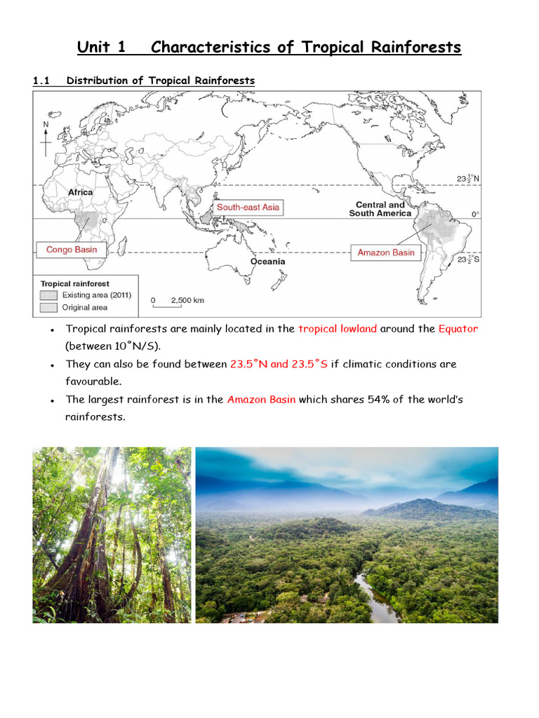 TRF Unit 1 - P.2-3 | PDF