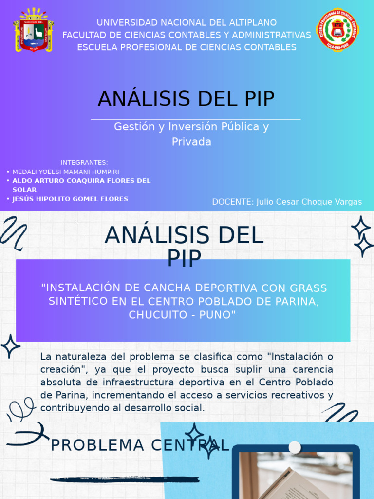 Analisis Del Pip | PDF | Economias