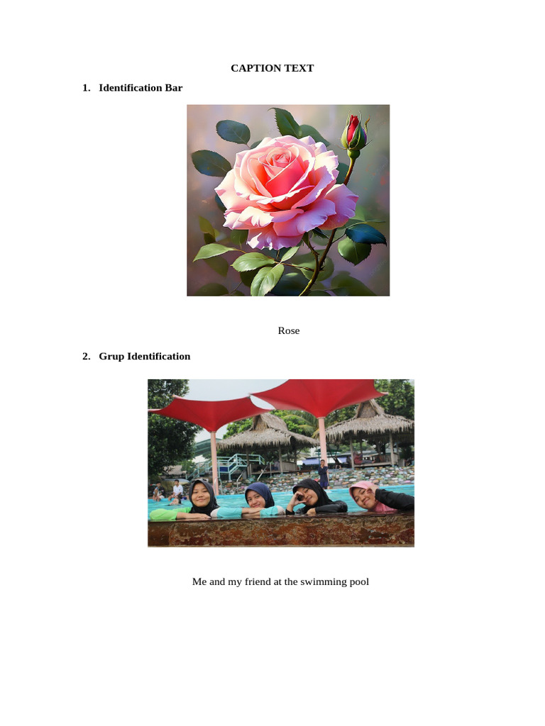 Caption Identification Overview | PDF