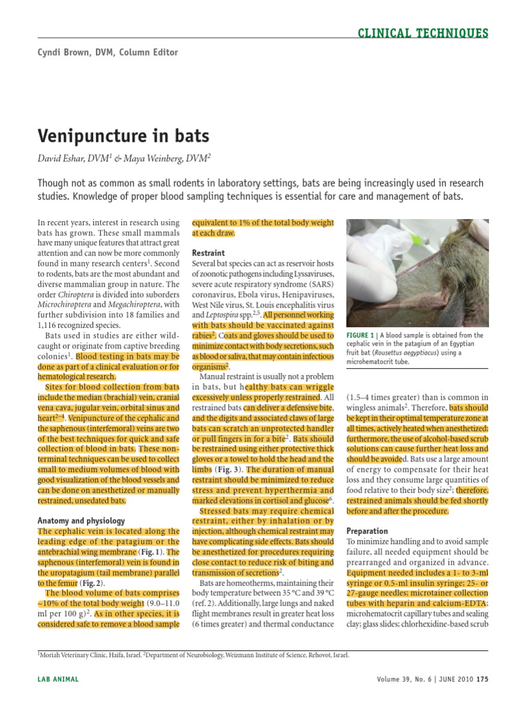 Blood Collection Techniques in Bats | PDF | Bat | Medical Specialties