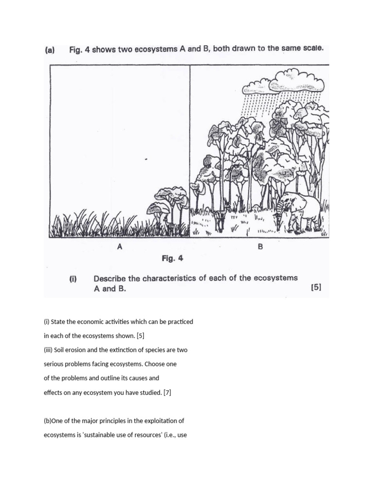 Ecosytem Question | PDF
