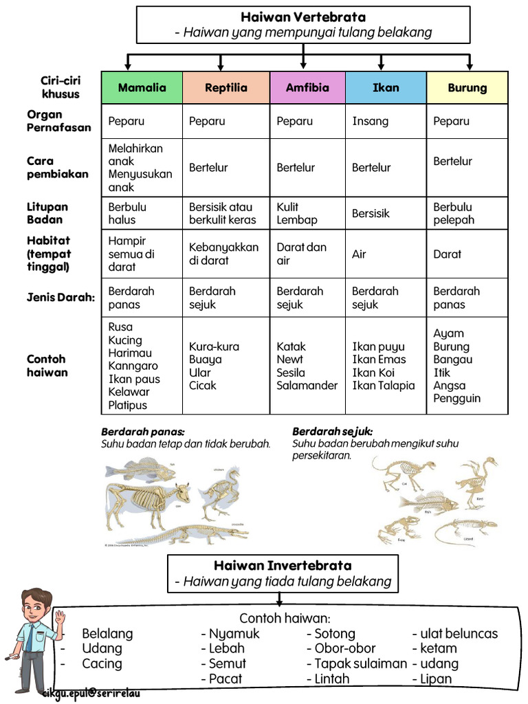 Print Haiwan Vertebrata Dan Invertebrata Sains Tahun 4 | PDF