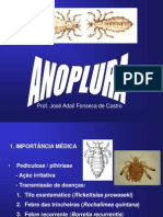 Anoplura