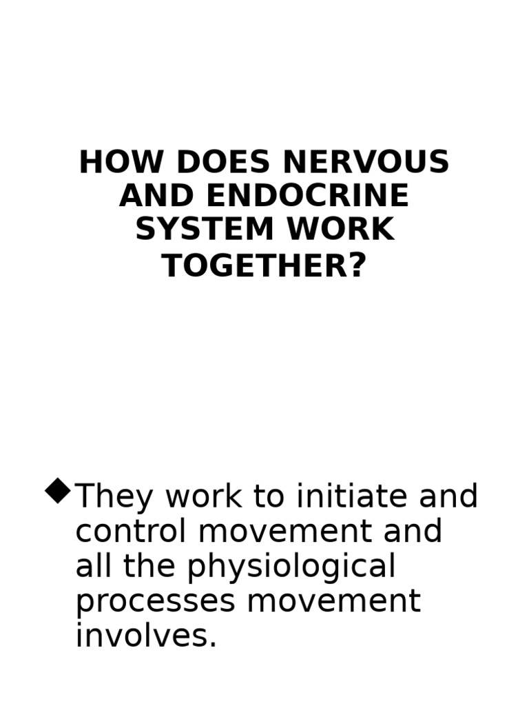 Nervous and Endocrine System Interaction | PDF