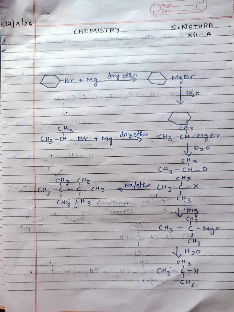 Chapter 1 Test | PDF