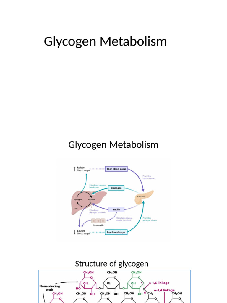 Hormonal Control of Glycogen Metabolism | PDF | Glycogen | Phosphorylation