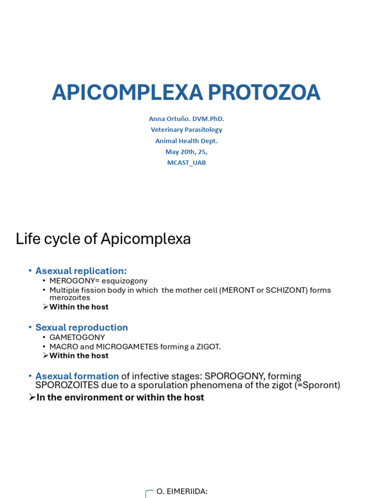 Life Cycle of Apicomplexa Protozoa | PDF | Biology