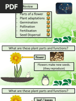 Seed Formation and Dispersal Methods | PDF | Fertilisation | Flowers