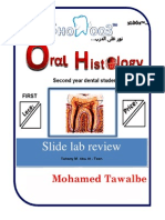 The Most Important Slides of Oral Histo Lab For The 1st 7 Labs