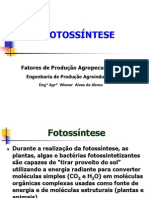 05 Fotossíntese