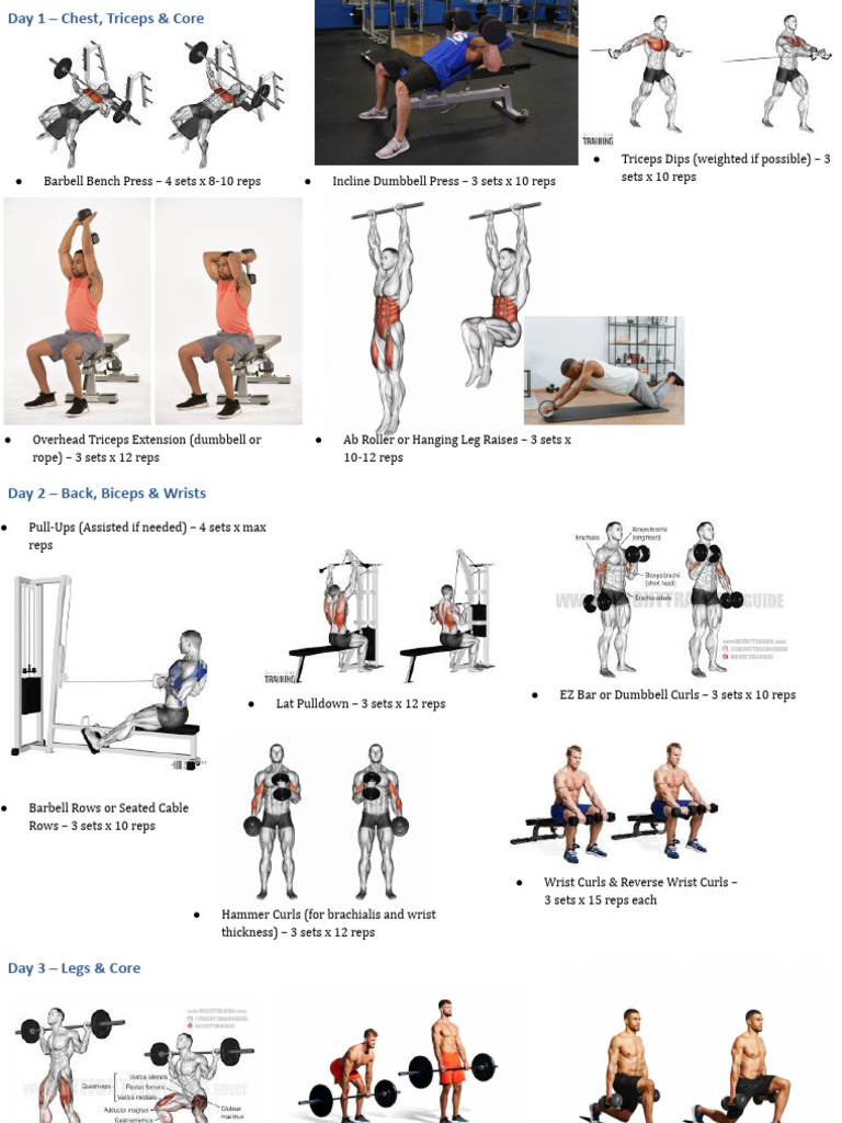 Workout Routine For Newcomers | PDF | Weight Training | Physical Fitness