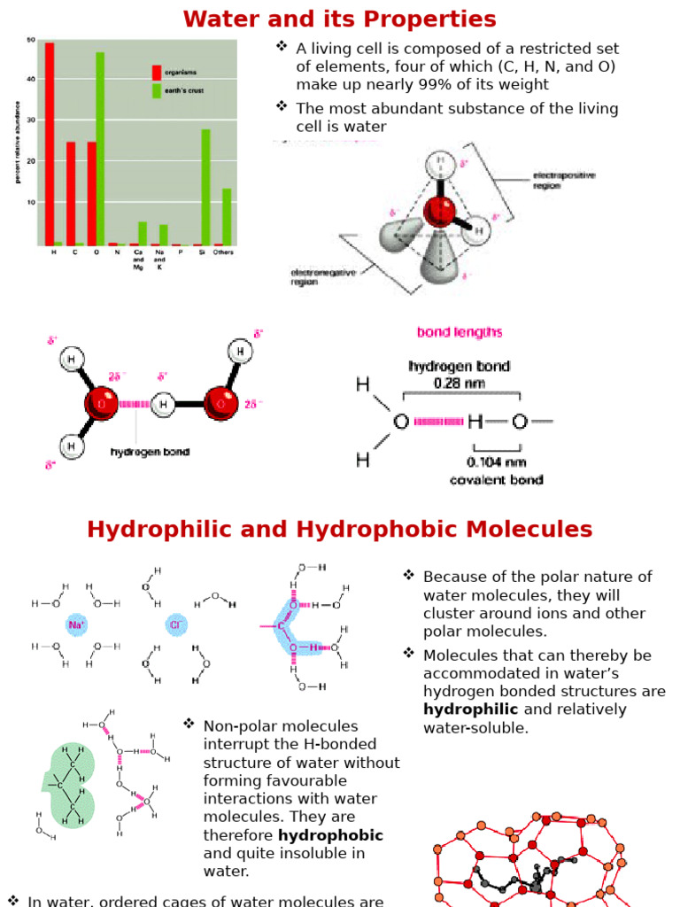 2.chemical Components | PDF | Nucleotides | Amino Acid