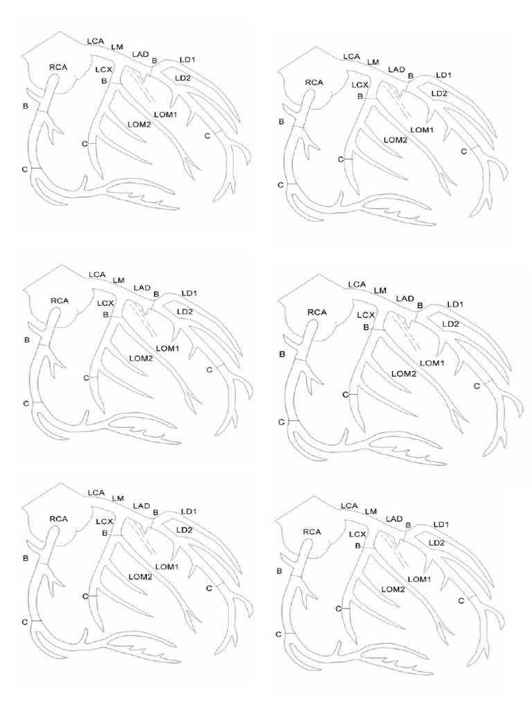 Map Coronary | PDF