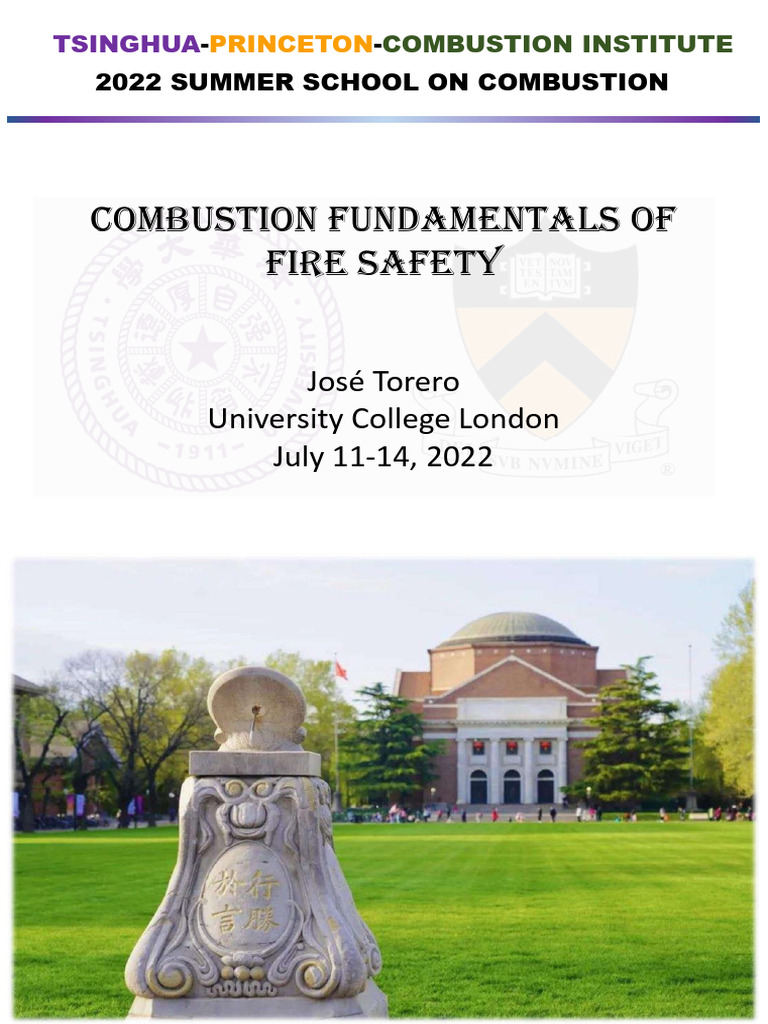 Combustion Fundamentals Summer School | PDF