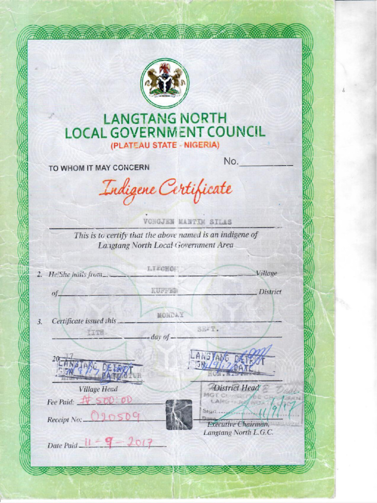 Local Government | PDF