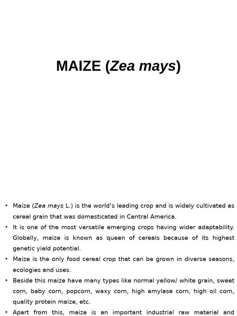 Comprehensive Guide to Maize Cultivation | PDF | Maize | Cereals