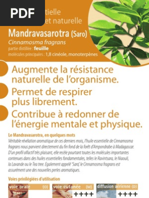 He Mandravasarotra  PDF  Huile essentielle  Parfum