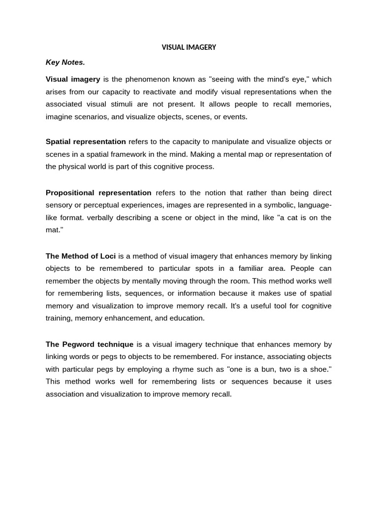 Visual Imagery | PDF