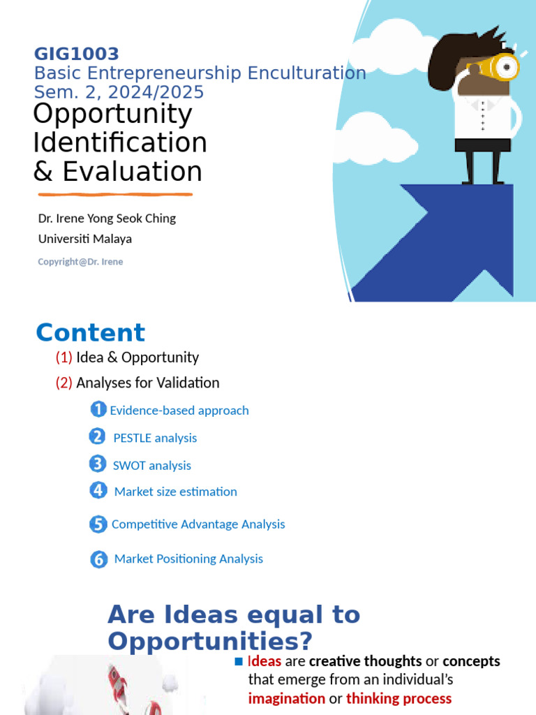Identifying and Evaluating Business Opportunities | PDF | Swot Analysis ...