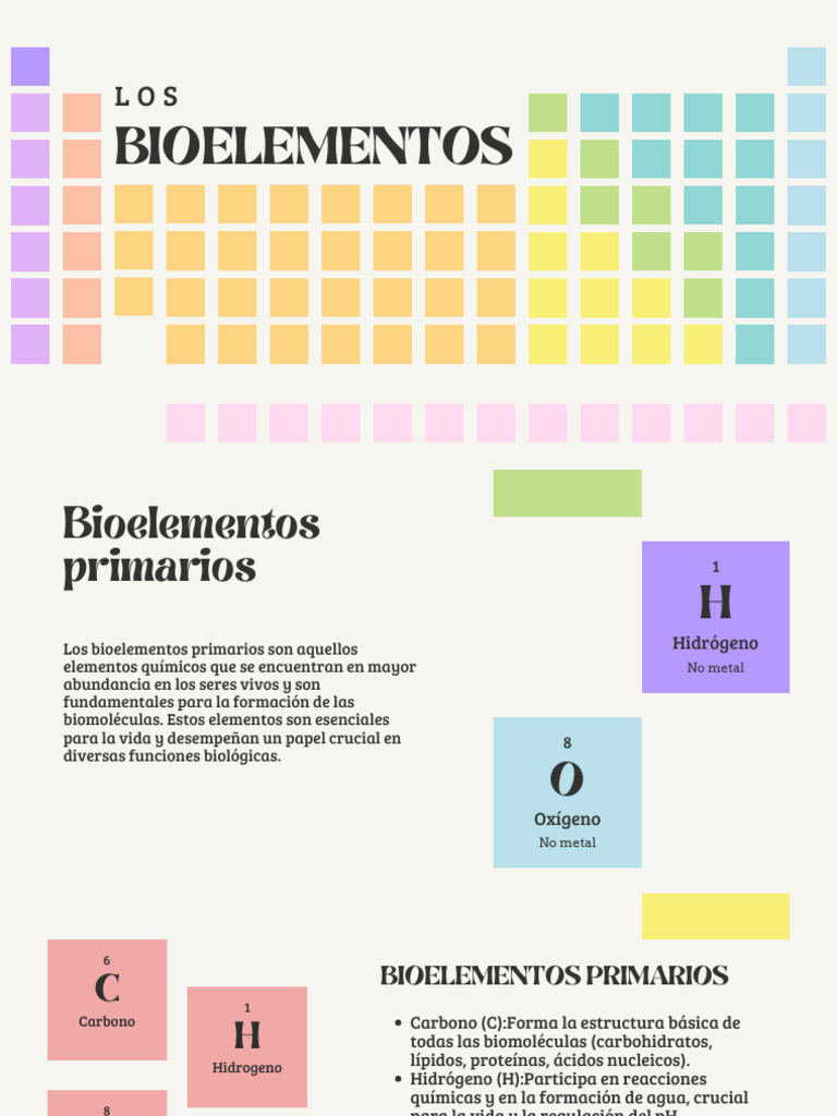 Bioelementos: Claves para la Vida | PDF | Biomoléculas | Calcio